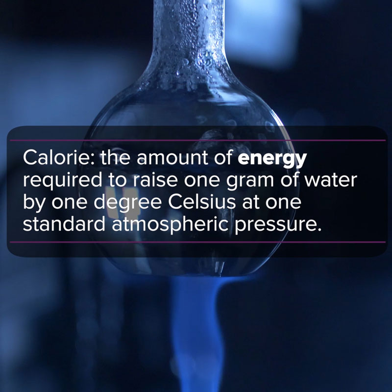 What is a Calorie?