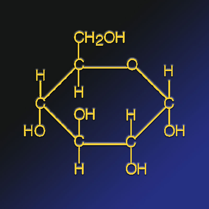 What is a Carbohydrate?