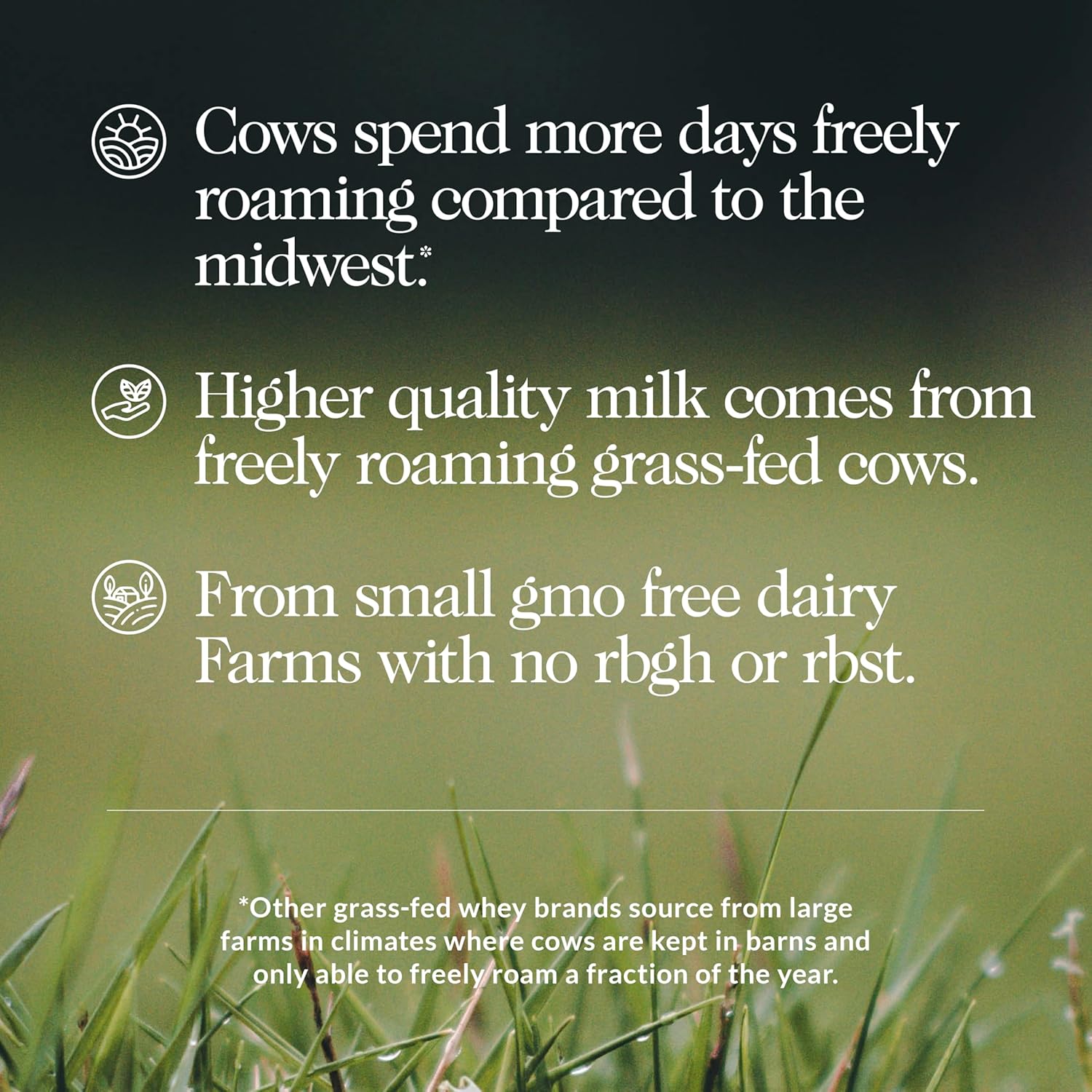 NAKED Chocolate Whey 1LB - All Natural Grass Fed Whey Protein Powder, Organic Cacao, and Coconut Sugar - No GMO, No Soy, and Gluten Free, Aid Growth and Recovery - 12 Servings - Image 2